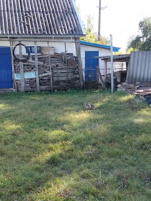 Будинок фото 5