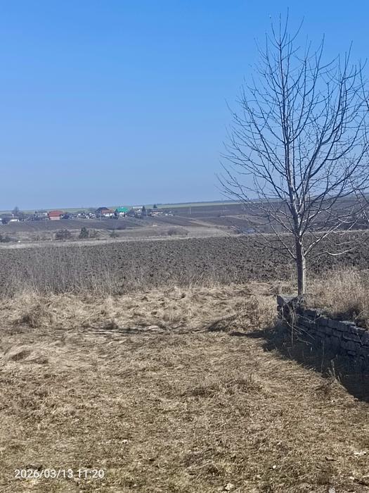 Земельна ділянка photo 5