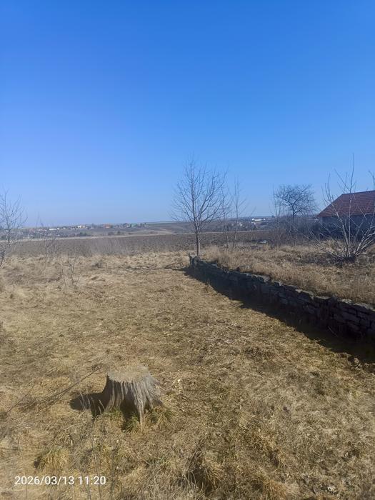 Земельна ділянка photo 6