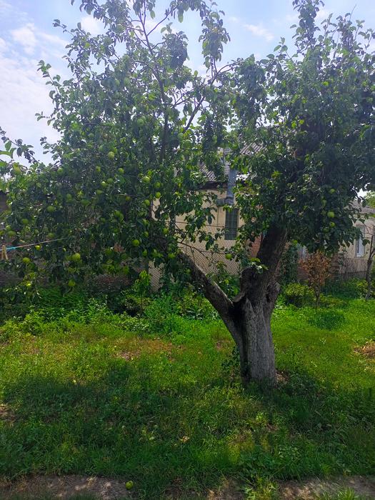 Сдам комнату в частном доме Харьков фото 6