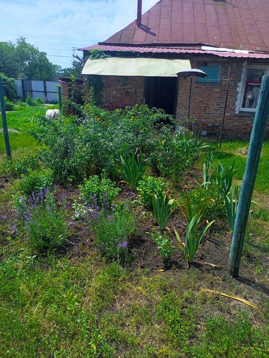 Сдам комнату в частном доме Харьков фото 7