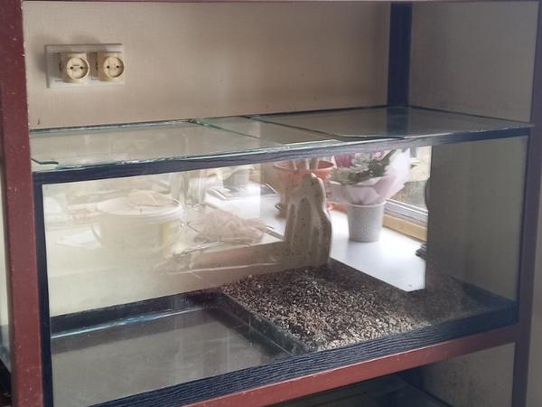 Аквариум, Стойки под аквариум фото