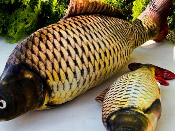 Подушка игрушка антистресс рыба Карп photo