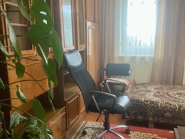 Здам житло  в оренду фото