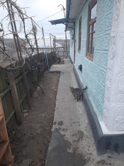 Будинок фото 8