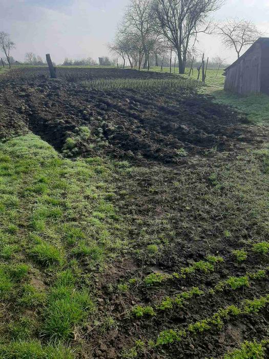 Будинок фото 1