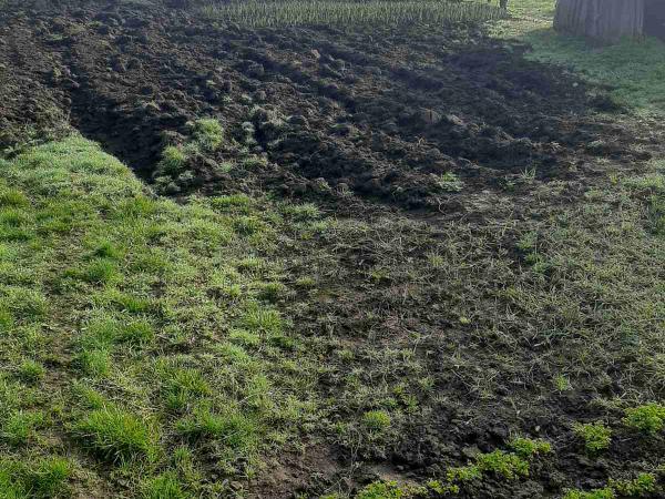 Будинок фото