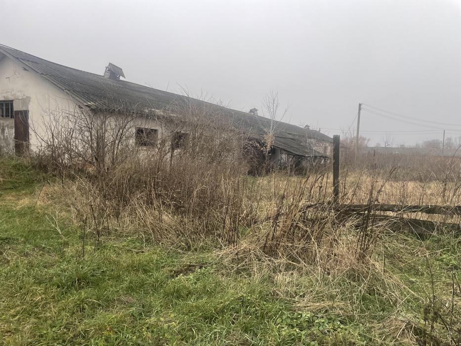 Свинокомплекс продаж 3 приміщень photo 2
