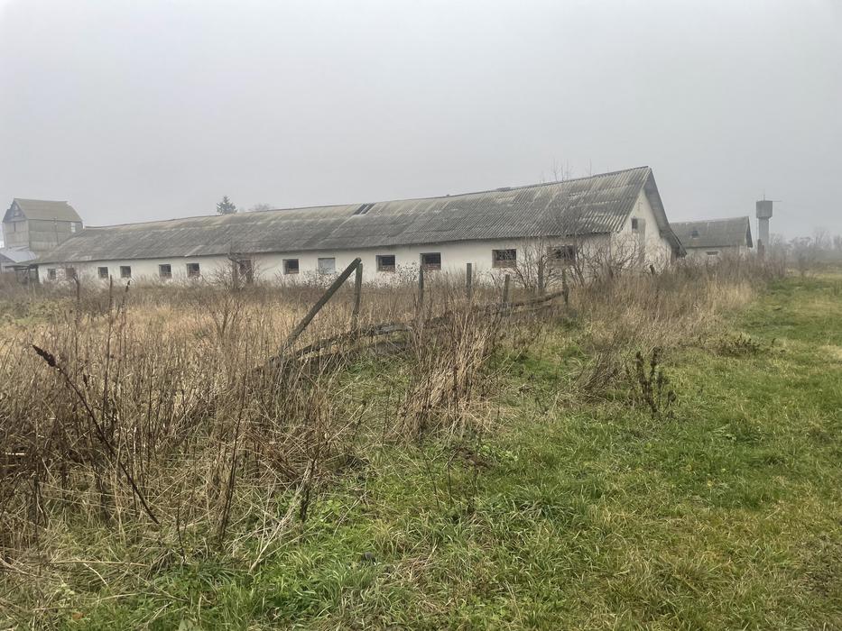 Свинокомплекс продаж 3 приміщень photo 3