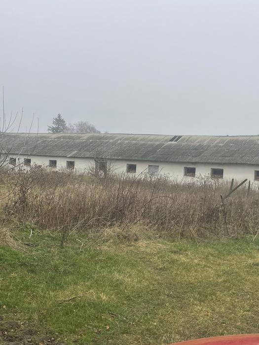 Свинокомплекс продаж 3 приміщень photo 4