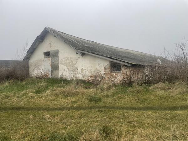 Свинокомплекс продаж 3 приміщень photo