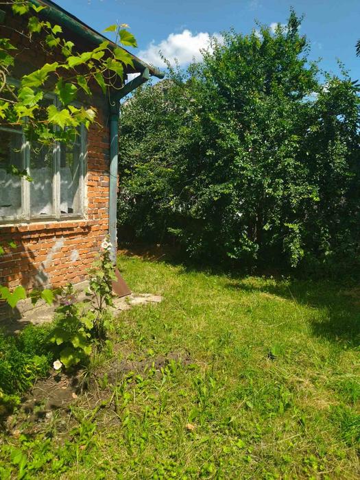 Будинок Підгайці продаж photo 4