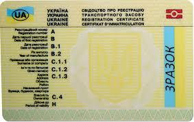 Делаем дубликаты документов фото 1