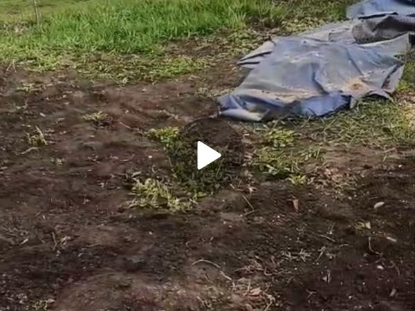 Продам будинок у селі фото