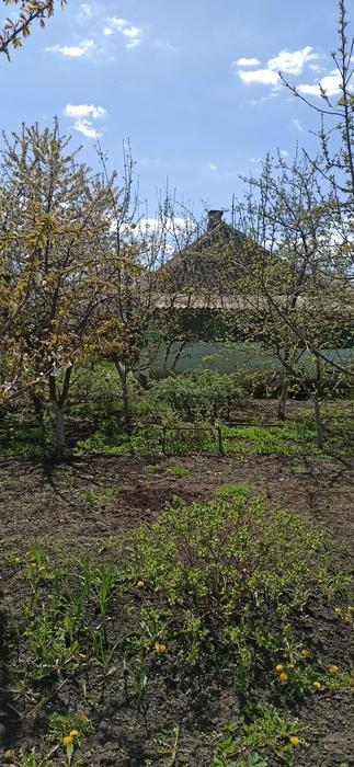 Продам не великий будинок photo 2