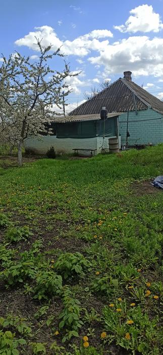Продам не великий будинок photo 3