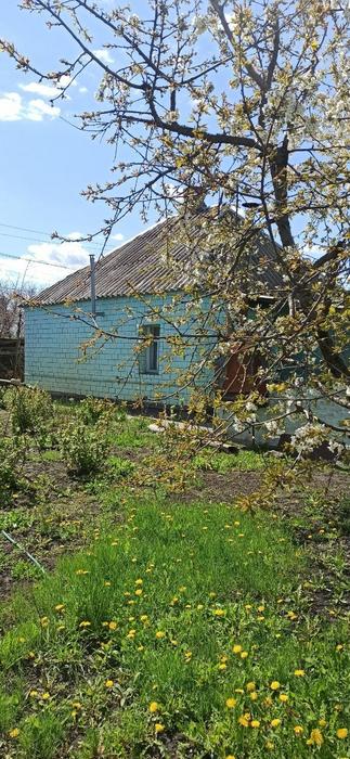 Продам будинок з молодим фруктовим садом фото 1