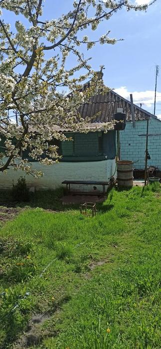 Продам будинок з молодим фруктовим садом фото 3