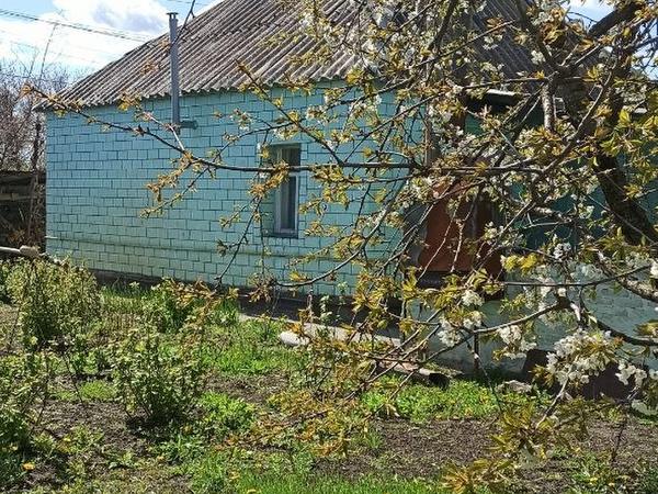 Продам будинок з молодим фруктовим садом фото
