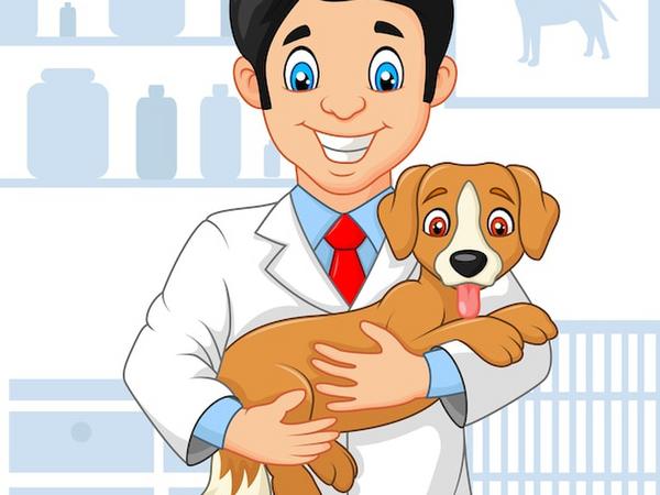 Ветеринарные услуги 🐾🐶 💉 🧑‍⚕️ 🩺 🐱 🐾 фото