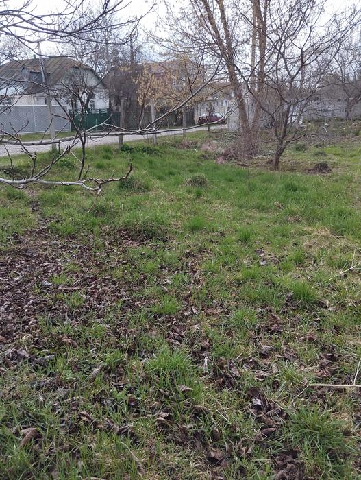 Продаж землі фото 1