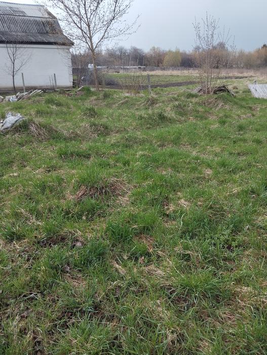 Продаж землі фото 2