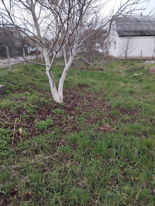 Продаж землі фото 4