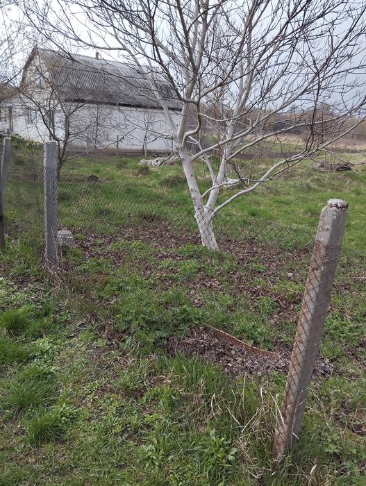 Продаж землі фото 4