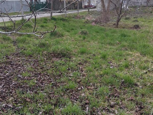 Продаж землі фото