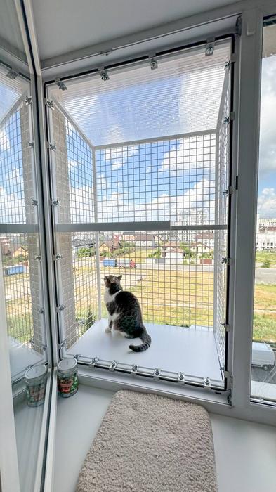 Балкон для котів фото 2