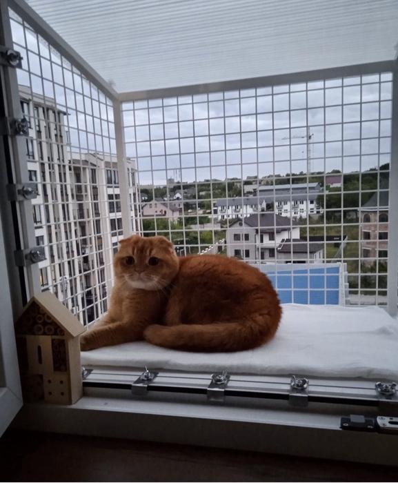Балкон для котів фото 7