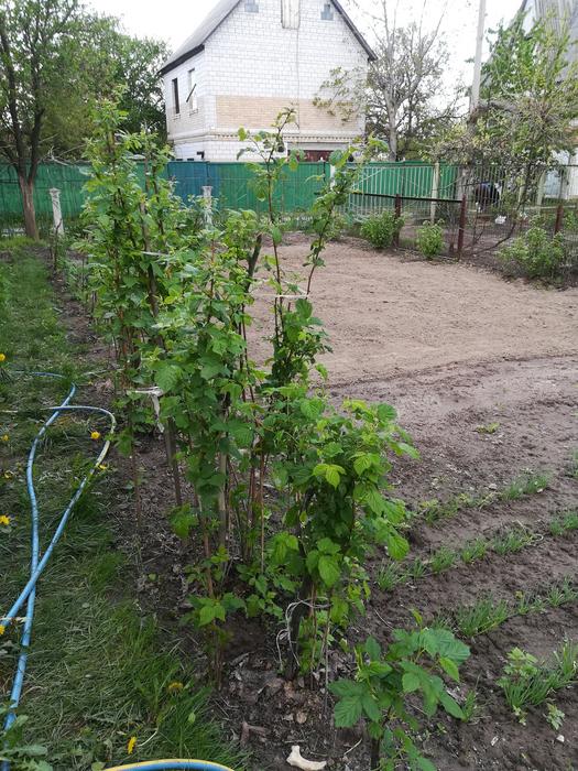 Оренда photo 4