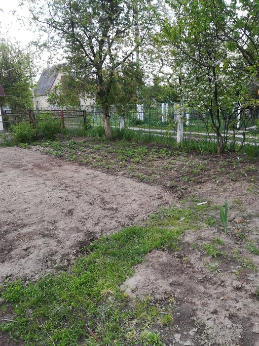 Оренда photo 7