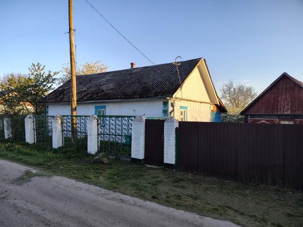 Будинок з присадибною ділянкою photo