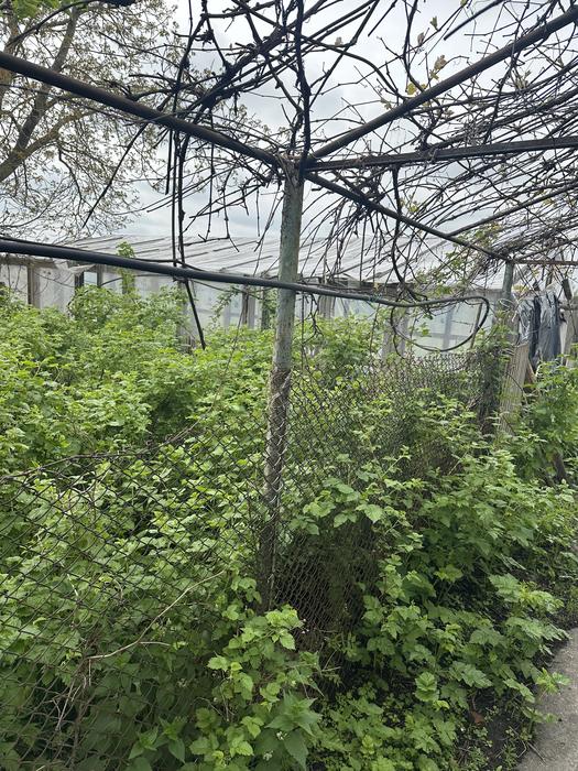 Хата та ділянка землі фото 11