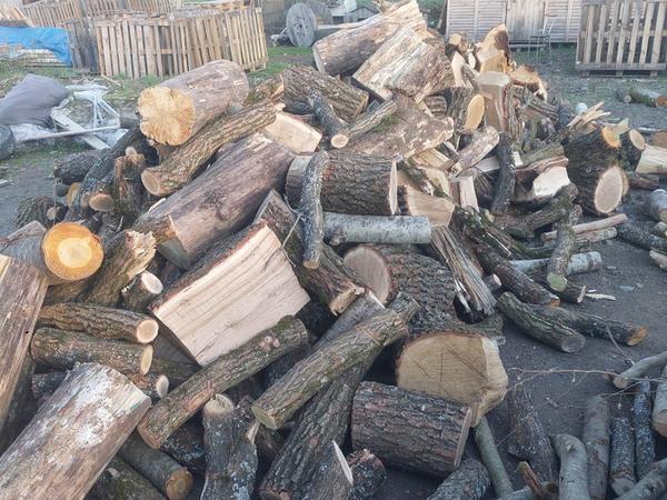Продаж дров твердих та мяких порід фото