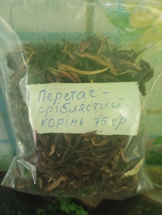 Корінь кропиви 100гр-45₴ photo 3