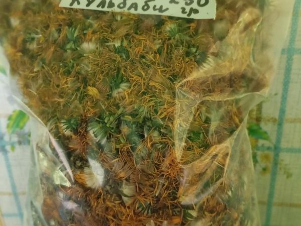 Цвіт кульбаби сушений 250гр-150₴ photo