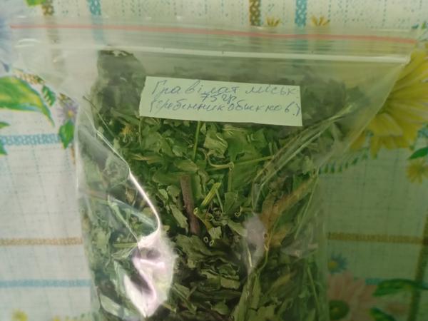 Гравілат міський сушений 75гр-70₴ photo