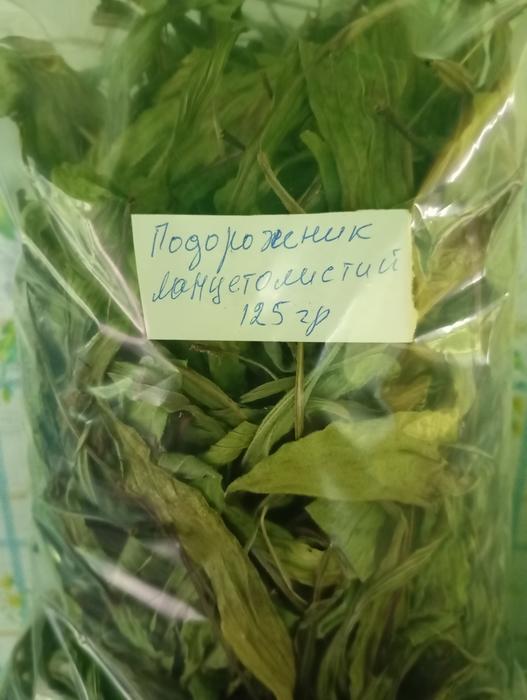 Рутка трава, подорожник лист сушений. photo 1
