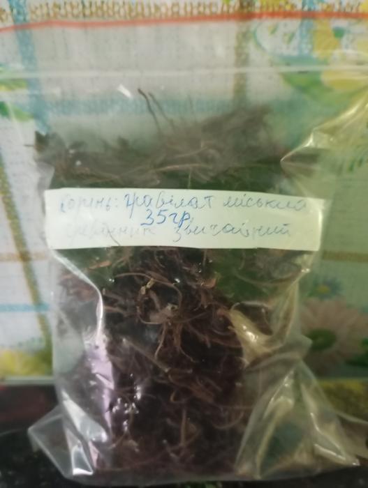 Гравілат міський трава, корінь сушений. photo 1