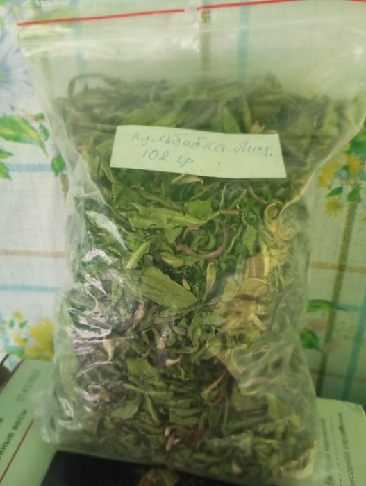 Цвіт бузини, цвіт,лист, корінь кульбаби. photo 3