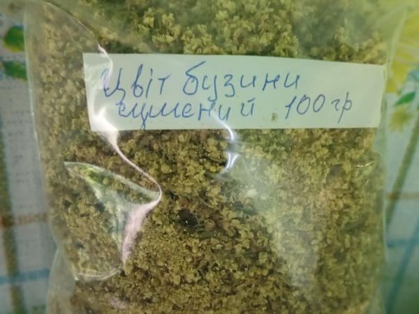 Цвіт бузини, цвіт,лист, корінь кульбаби. photo