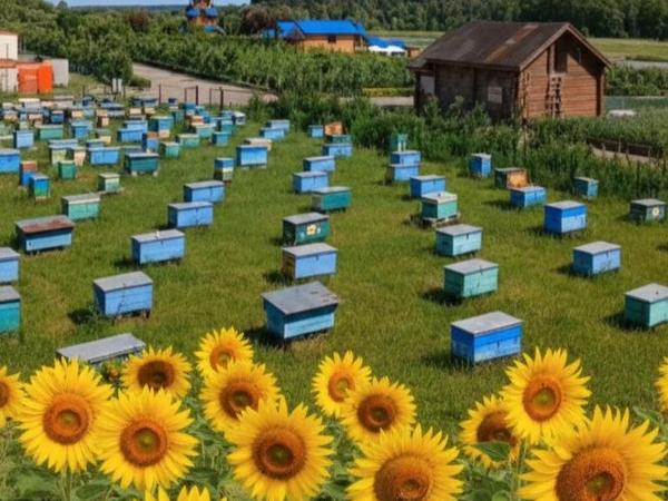 Продам неплодні бджоломатки Карпатка photo