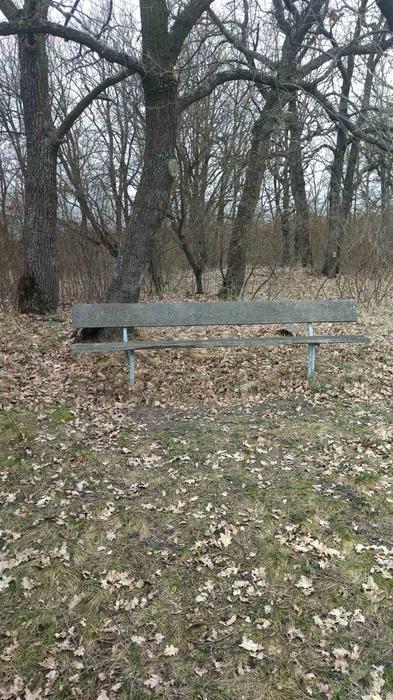 Земельна ділянка фото 2