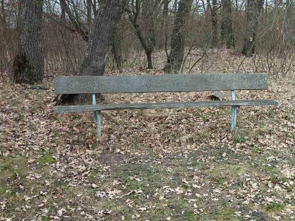 Земельна ділянка фото