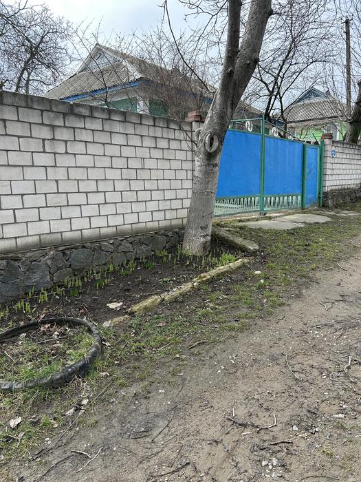 Будинок photo 3