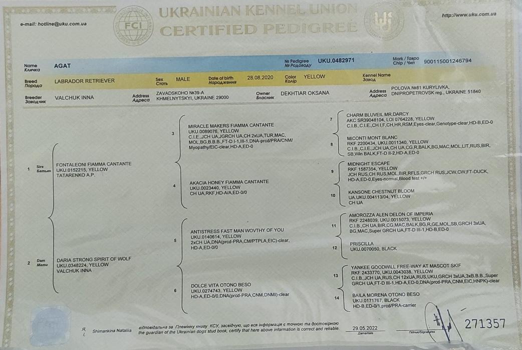 Пухнастий друг photo 7