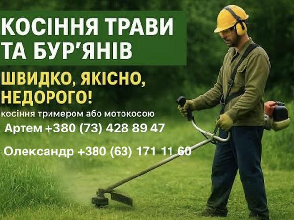 Косіння трави (бензокоса) фото
