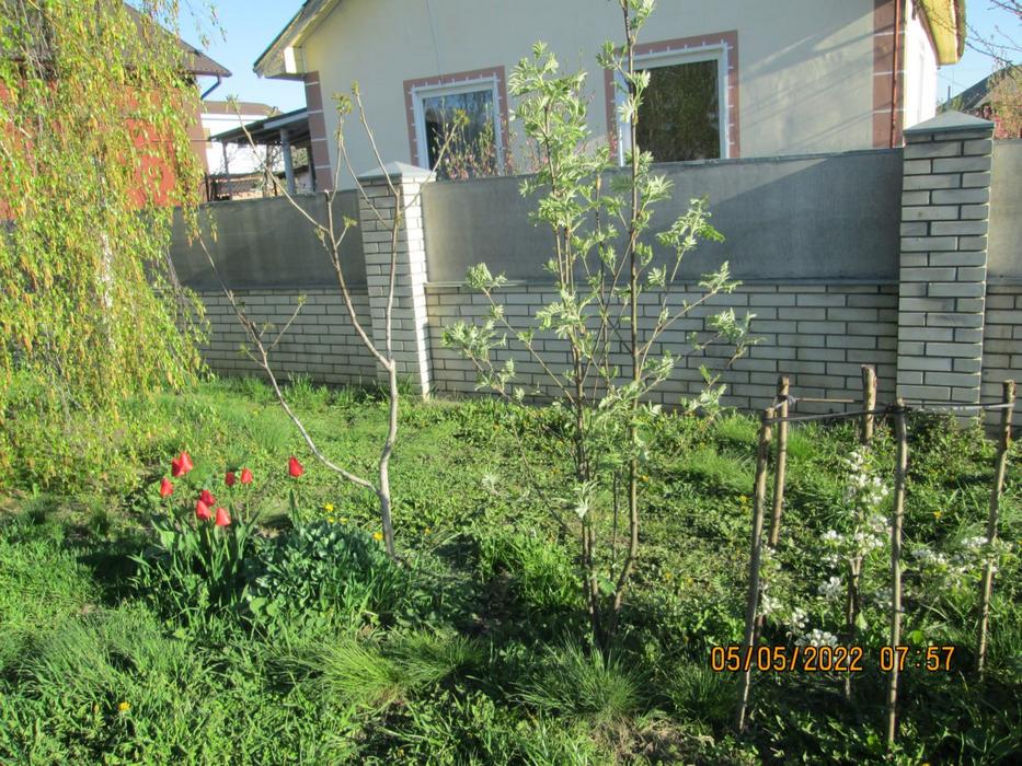 Продам садибу з будинком photo 4